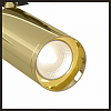 Светильник на штанге Maytoni Technical Focus TR004-1-GU10-G 100_100_2862682