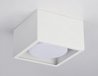 Накладной светильник Ambrella Light TN TN70825 250_100_2019314