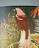 Торшер Moderli Tropic V11008-F 100_100_1966972