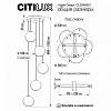 Подвесной светильник Citilux Адам Смарт CL228A051 100_100_1691370