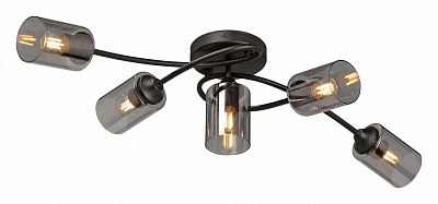 Потолочная люстра Vitaluce V2048 V2048-1/5PL 400_400_2432793