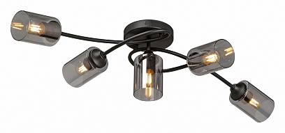 Потолочная люстра Vitaluce V2048 V2048-1/5PL 500_191_2432793