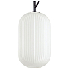 Подвесной светильник Odeon Light Roofi 4751/1 100_100_2464145