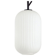 Подвесной светильник Odeon Light Roofi 4751/1 500_191_2464145