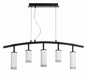 Подвесной светильник Lightstar Rullo LR7353628630 250_100_1716592