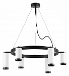Подвесная люстра Lightstar Rullo LR0163638637 250_100_1718096