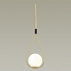 Подвесной светильник Odeon Light Flari 4810/1A 100_100_1724275