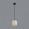 Подвесной светильник Odeon Light Cocoon 5060/1GA 100_100_1729131