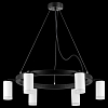 Подвесная люстра Lightstar Rullo LR0163660 100_100_1718109