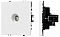 ТВ-розетка без рамки Arlight SCT-NOBE 054292
