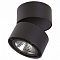 Спот Lightstar Forte Muro 213817