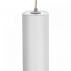 Подвесной светильник Citilux Bruno CL565010 100_100_1693713