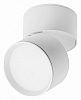 Накладной светильник Lightstar Acuto 215836 100_100_3155523