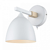 Бра Lumion Colange 8095/1W 100_100_1864910