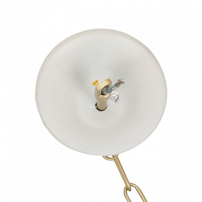 Подвесная люстра Lumion SUANA 8318/8 400_400_2173099