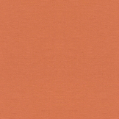 687569 Обои Rasch (1*12) 10,05x0,53 винил на флизелине 400_400_2323951