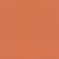 687569 Обои Rasch (1*12) 10,05x0,53 винил на флизелине 500_191_2323951