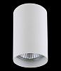 Накладной светильник Lightstar Rullo 214436 100_100_1713008