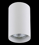 Накладной светильник Lightstar Rullo 214436 250_100_1713008
