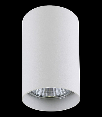 Накладной светильник Lightstar Rullo 214436 400_400_1713008