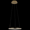 Подвесной светильник Loft it Ring 10014S 100_100_1845743
