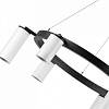 Подвесная люстра Lightstar Rullo LR016363863 100_100_1718081