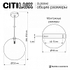Подвесной светильник Citilux ORTON CL202042 100_100_1695369