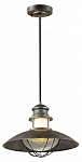 Подвесной светильник Odeon Light Dante 4164/1 250_100_1723671