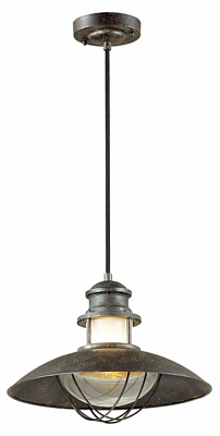 Подвесной светильник Odeon Light Dante 4164/1 400_400_1723671
