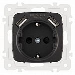 Розетка с заземлением и со шторкой и 2хUSB, без рамки Arte Milano am-205 205.47-1.black 250_100_Array