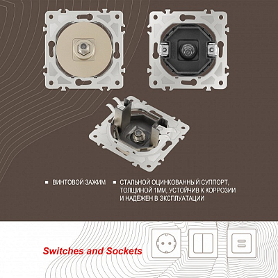 ТВ-розетка без рамки Arte Milano am-202 202.42-1.shampan 400_400_2165882
