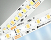 Лента светодиодная Ambrella Light GS GS4151 100_100_2025150