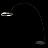 Торшер Loft it Ring 10027 100_100_1846320