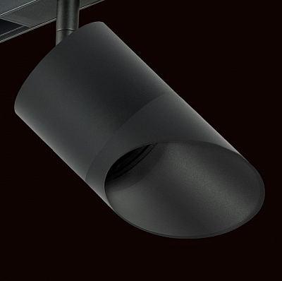 Светильник на штанге Lightstar Rullo PRO348787 400_400_1717912