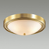 Накладной светильник Lumion Nina 5259/3C 100_100_1863238