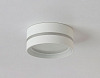 Накладной светильник Ambrella Light TN TN5391 100_100_2022173