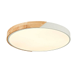 SLE200952-01 Светильник потолочный Белый, Светлое дерево/Белый LED 1*45W 3000K/4000K/6000K ФЕСТА 250_100_2954731