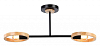 Светильник на штанге Ambrella Light TR TR8244 100_100_2468405