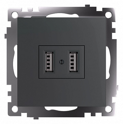 Розетка USB type A без рамки Stekker Катрин 49422 400_400_2159406