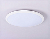 Накладной светильник Ambrella Light FZ FZ1231 100_100_2023940