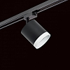 Светильник на штанге Lightstar Rullo R1T34873486 100_100_1717960