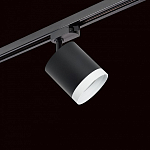 Светильник на штанге Lightstar Rullo R1T34873486 250_100_1717960