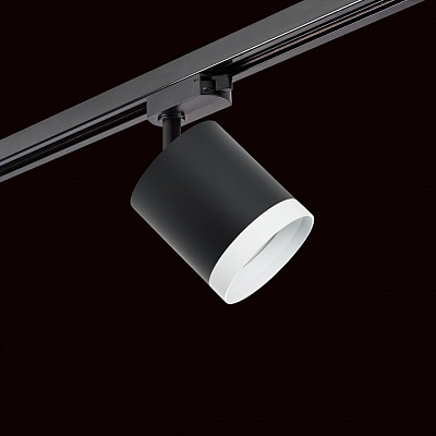 Светильник на штанге Lightstar Rullo R1T34873486 400_400_1717960