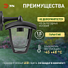 Светильник на штанге Эра  НБУ 07-40-002 «Дели 2» черный 100_100_3097221