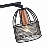 Спот Vele Luce Modello VL6452W03 250_100_1910575