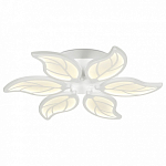 Накладной светильник Ambrella Light FA FA459 250_100_Array