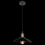 Подвесной светильник Loft it Factory Filament LOFT1101 250_100_1844768