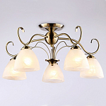 Потолочная люстра Ambrella Light TR TR3046 250_100_2013410