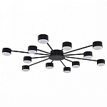 Потолочная люстра Lumion TORINA 8344/12C 250_100_Array