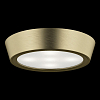 Накладной светильник Lightstar Urbano 214914 100_100_1713361